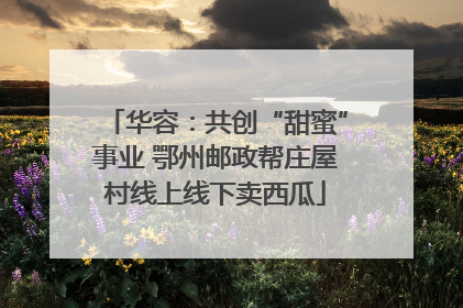 华容：共创“甜蜜”事业 鄂州邮政帮庄屋村线上线下卖西瓜