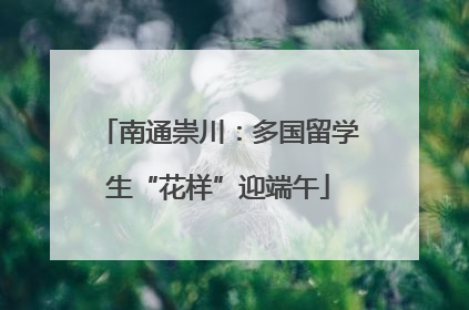 南通崇川：多国留学生“花样”迎端午