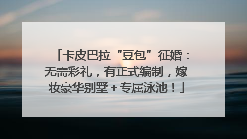 卡皮巴拉“豆包”征婚：无需彩礼，有正式编制，嫁妆豪华别墅＋专属泳池！