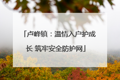 卢峰镇：温情入户护成长 筑牢安全防护网