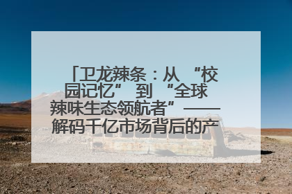 卫龙辣条：从 “校园记忆” 到 “全球辣味生态领航者”——解码千亿市场背后的产品创新与全链路破圈