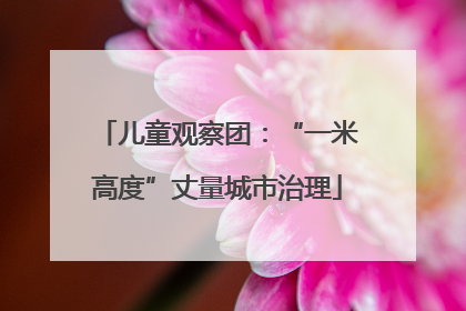 儿童观察团：“一米高度”丈量城市治理