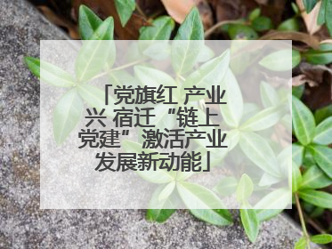 党旗红 产业兴 宿迁“链上党建”激活产业发展新动能