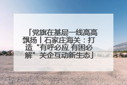 党旗在基层一线高高飘扬丨石家庄海关：打造“有呼必应 有困必解”关企互动新生态