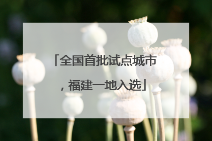 全国首批试点城市，福建一地入选