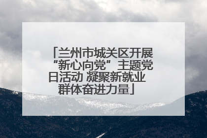 兰州市城关区开展“新心向党”主题党日活动 凝聚新就业群体奋进力量