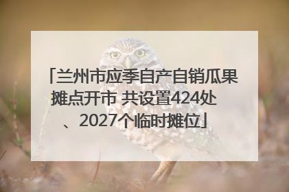 兰州市应季自产自销瓜果摊点开市 共设置424处、2027个临时摊位