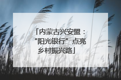内蒙古兴安盟：“阳光银行”点亮乡村振兴路