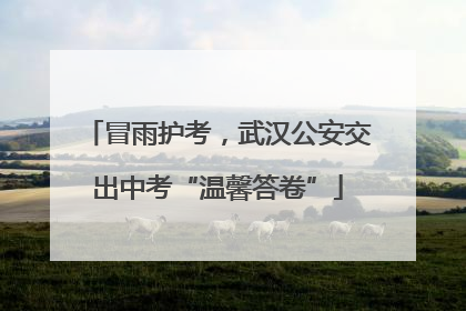 冒雨护考，武汉公安交出中考“温馨答卷”