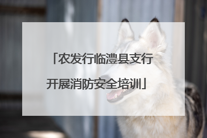 农发行临澧县支行开展消防安全培训