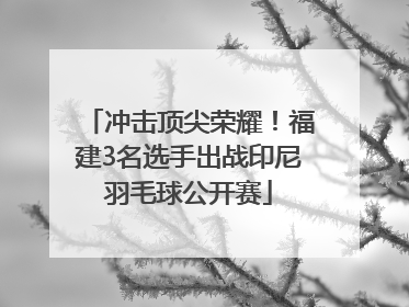 冲击顶尖荣耀！福建3名选手出战印尼羽毛球公开赛