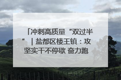 冲刺高质量“双过半”｜盐都区楼王镇：攻坚实干不停歇 奋力跑赢“上半场”