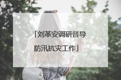 刘革安调研督导防汛抗灾工作