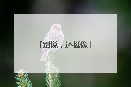 别说，还挺像