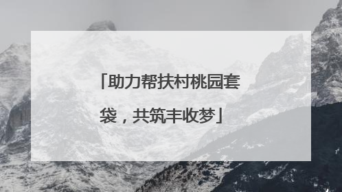 助力帮扶村桃园套袋，共筑丰收梦