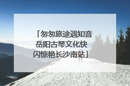 匆匆旅途遇知音 岳阳古琴文化快闪惊艳长沙南站