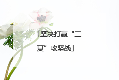 坚决打赢“三夏”攻坚战