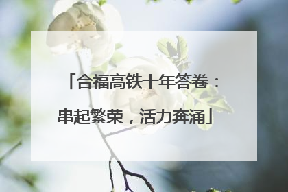合福高铁十年答卷：串起繁荣，活力奔涌