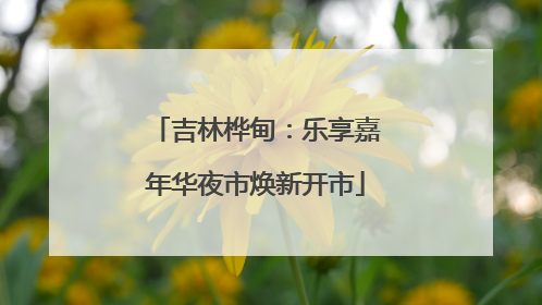 吉林桦甸：乐享嘉年华夜市焕新开市