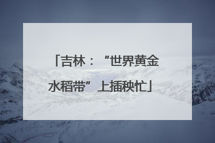 吉林：“世界黄金水稻带”上插秧忙