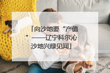 向沙地要“产值”——辽宁科尔沁沙地兴绿见闻