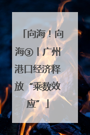 向海！向海③丨广州港口经济释放“乘数效应”