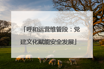 呼和运营维管段：党建文化赋能安全发展