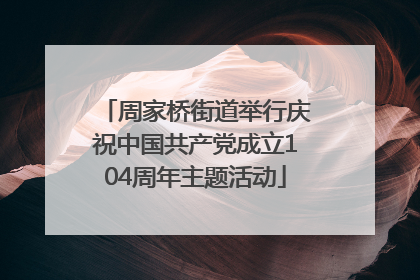周家桥街道举行庆祝中国共产党成立104周年主题活动
