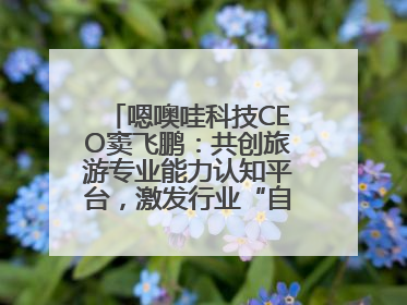 嗯噢哇科技CEO窦飞鹏：共创旅游专业能力认知平台，激发行业“自生长”力量