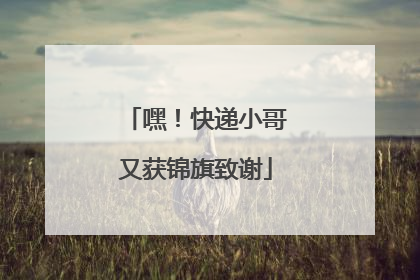 嘿！快递小哥又获锦旗致谢