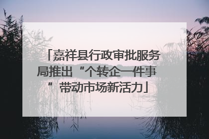 嘉祥县行政审批服务局推出“个转企一件事”带动市场新活力