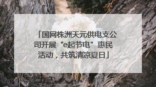 国网株洲天元供电支公司开展“e起节电”惠民活动，共筑清凉夏日