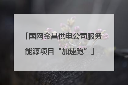 国网金昌供电公司服务能源项目“加速跑”