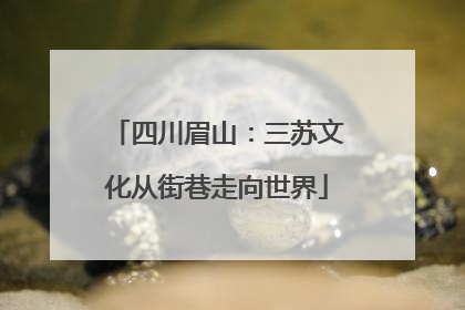 四川眉山：三苏文化从街巷走向世界
