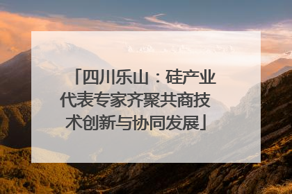 四川乐山：硅产业代表专家齐聚共商技术创新与协同发展