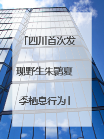 四川首次发现野生朱鹮夏季栖息行为