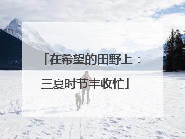 在希望的田野上：三夏时节丰收忙