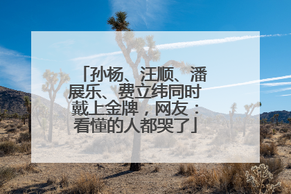 孙杨、汪顺、潘展乐、费立纬同时戴上金牌，网友：看懂的人都哭了