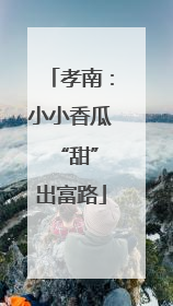 孝南：小小香瓜 “甜”出富路