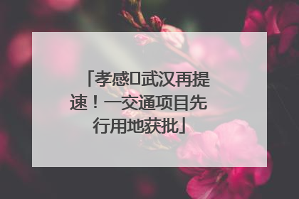 孝感⇋武汉再提速!一交通项目先行用地获批