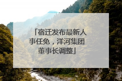 宿迁发布最新人事任免，洋河集团董事长调整