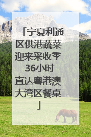 宁夏利通区供港蔬菜迎来采收季 36小时直达粤港澳大湾区餐桌