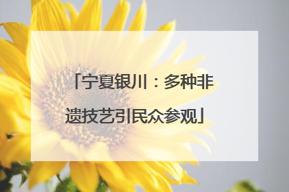 宁夏银川：多种非遗技艺引民众参观