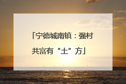 宁德城南镇：强村共富有“土”方