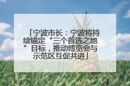 宁波市长：宁波将持续锚定“三个首选之地”目标，推动博览会与示范区互促共进