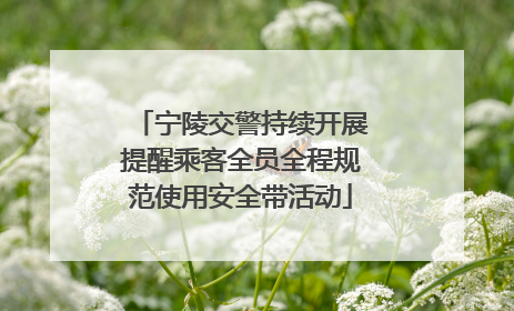 宁陵交警持续开展提醒乘客全员全程规范使用安全带活动