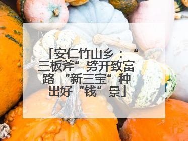 安仁竹山乡：“三板斧”劈开致富路 “新三宝”种出好“钱”景