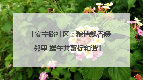安宁路社区：粽情飘香暖邻里 端午共聚促和谐