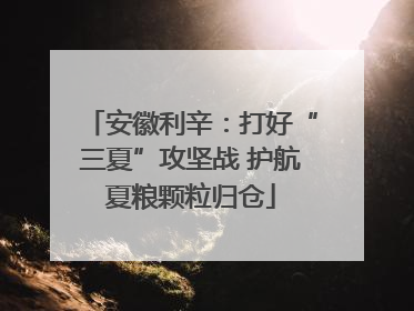 安徽利辛：打好“三夏”攻坚战 护航夏粮颗粒归仓