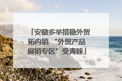 安徽多举措稳外贸拓内销 “外贸产品展销专区”受青睐